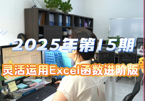 2025年 第15期 灵活运用Excel函数进阶版